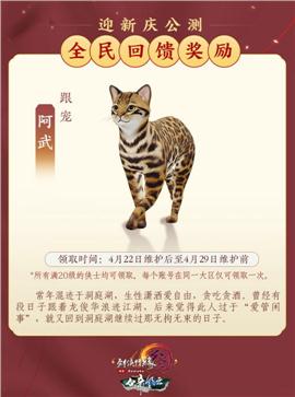 天龙八部私服 抓宝宝